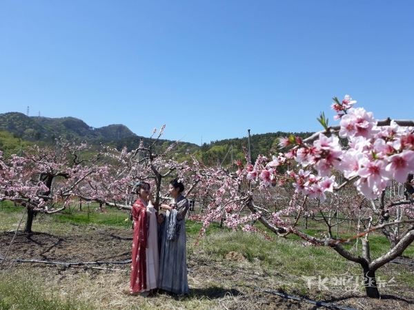 사진=영천시