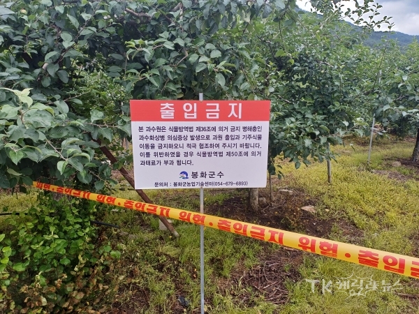 봉화 화상병 발생 과원 출입금지. 사진=경북농업기술원