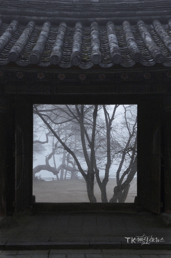 사진=경북도서솬
