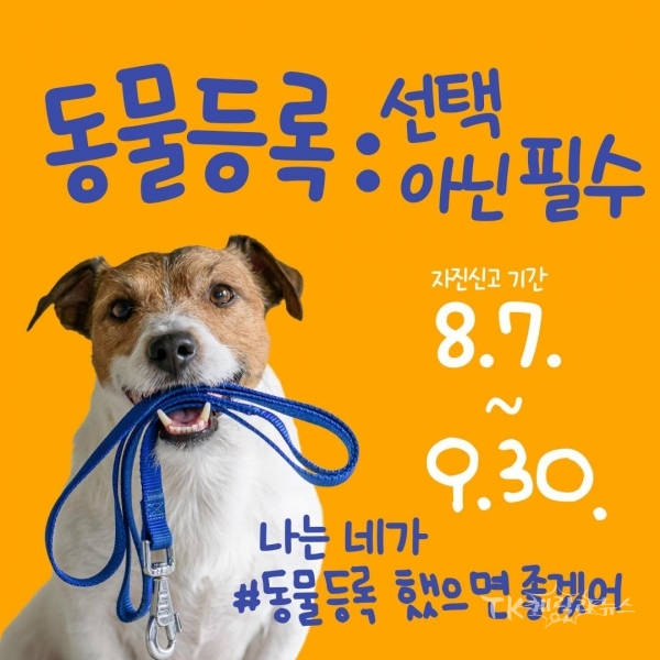 사진=영천시
