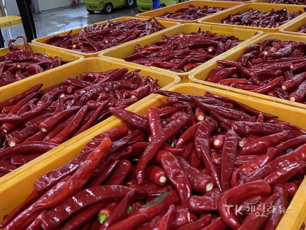 사진=영양군