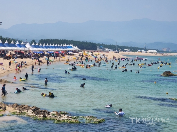 사진=영덕군