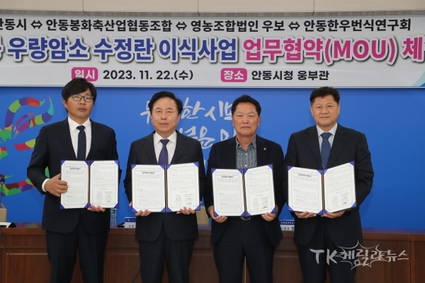사진=안동시