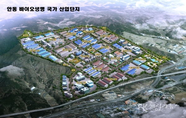 사진=안동시