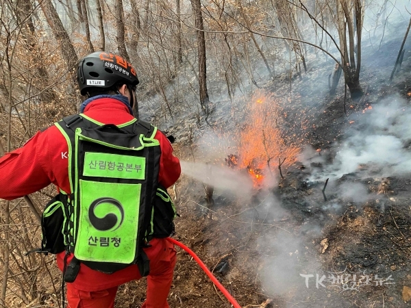 사진=안동산림항공관리소