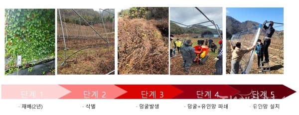 사진=경상북도농업기술원