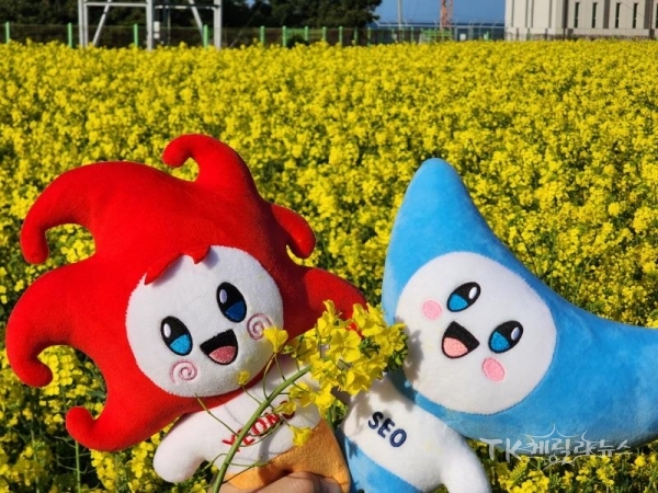 사진=포항시