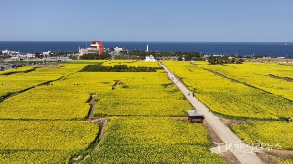 사진=포항시