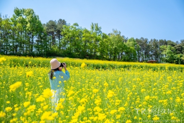 사진=예천군