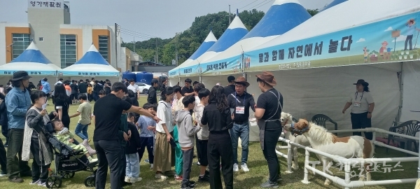 사진=경북도