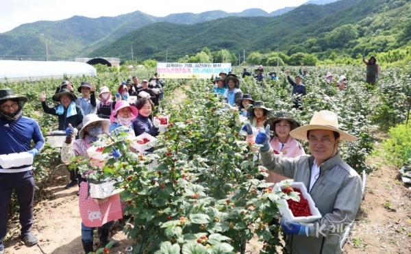 사진=청도군