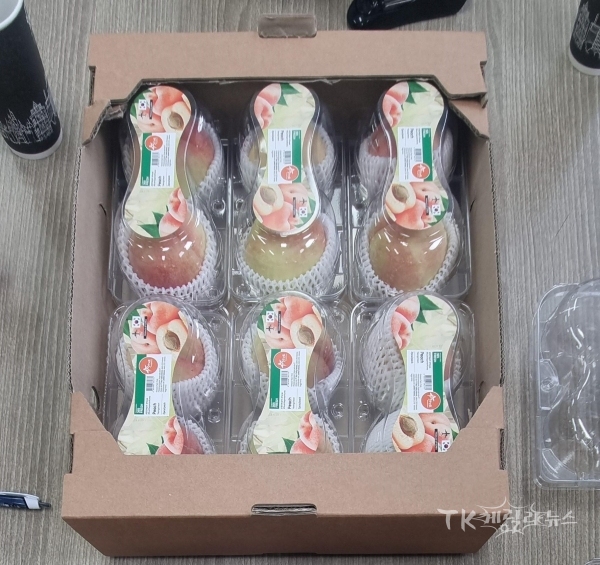 사진=영천시