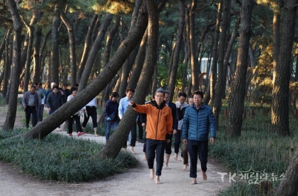 사진=포항시