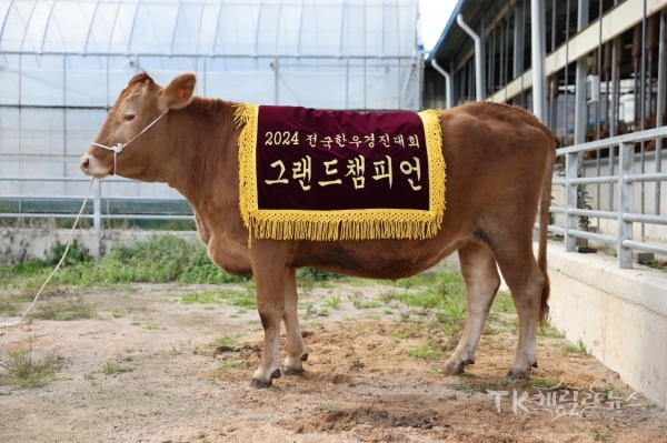 사진=경북도