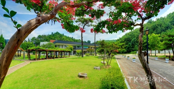 사진=안동시립박물관