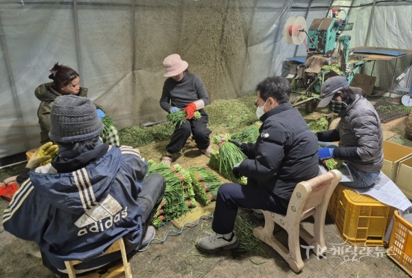 사진=경주시