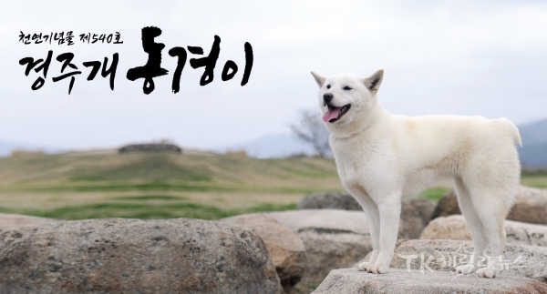사진=경주시