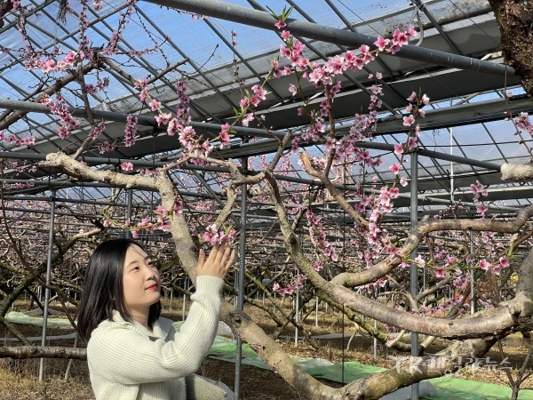 사진=경산시