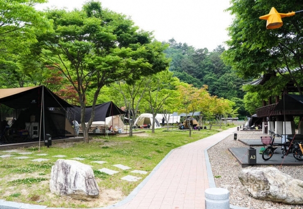 사진=영양군