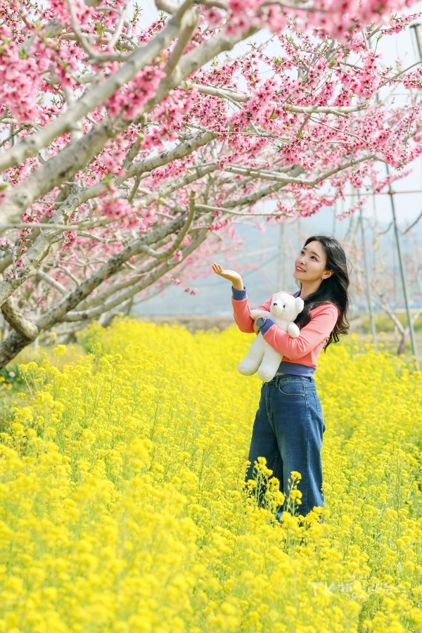 사진=청도군