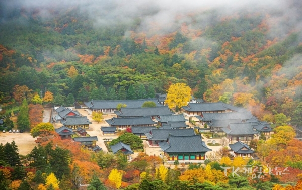 사진=청도군