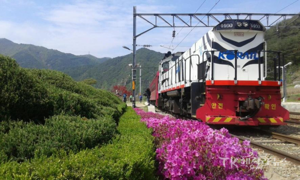 백두대간 협곡열차(V-Train). 사진=코레일 경북본부