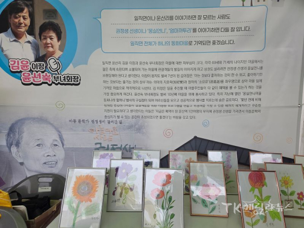 사진=안동시